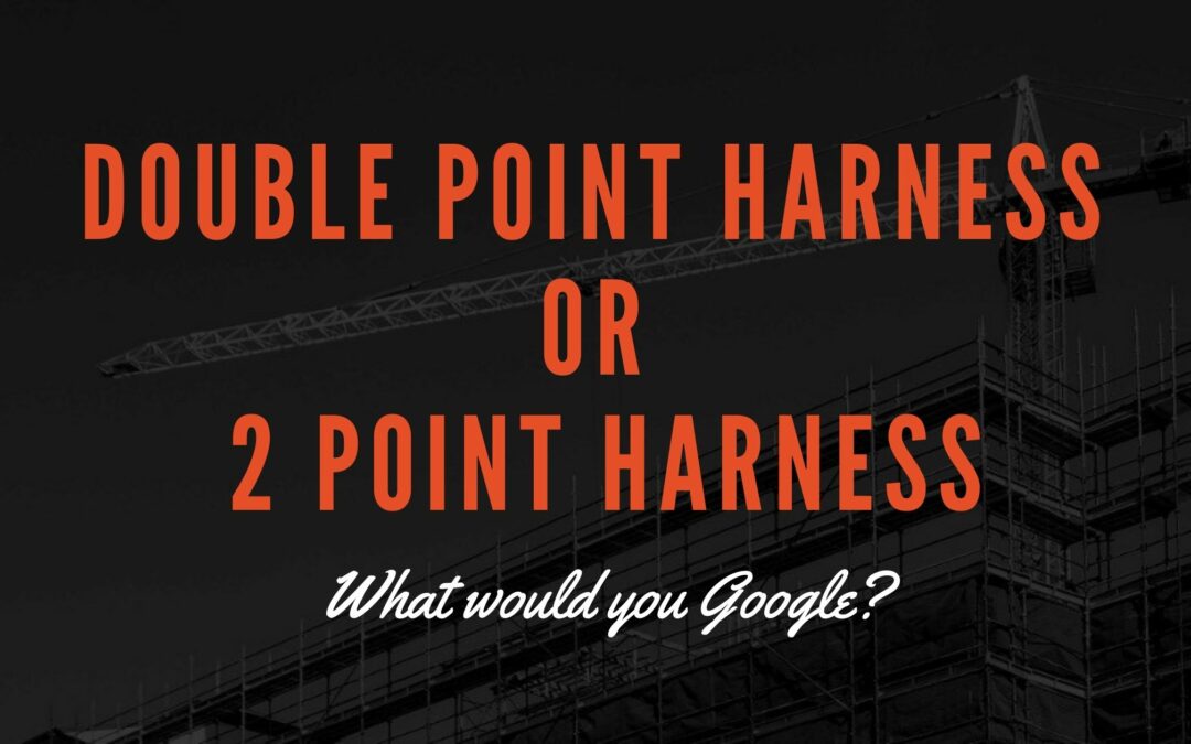 What is a double point or two point safety harness?